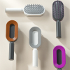 Self-Cleaning Hair Brush with One-Key Release & Scalp Massage