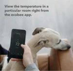ecobee SmartSensor Room Temperature Sensors - White, Pack of 2 (EB-RSHM2PK-01) - Image 2