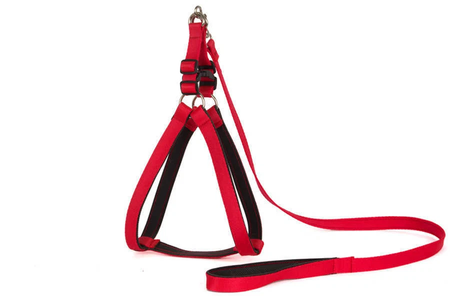84 No Pull Harness Dog Leash Set Adjustable Chest Girth 16-18" Lead Small - Image 1