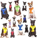 WARNING ALERT DOG COLLAR LEAD HARNESS COAT! AWARD WINNING PET PRODUCT! WHY WAIT? - Image 4